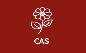 C.A.S.